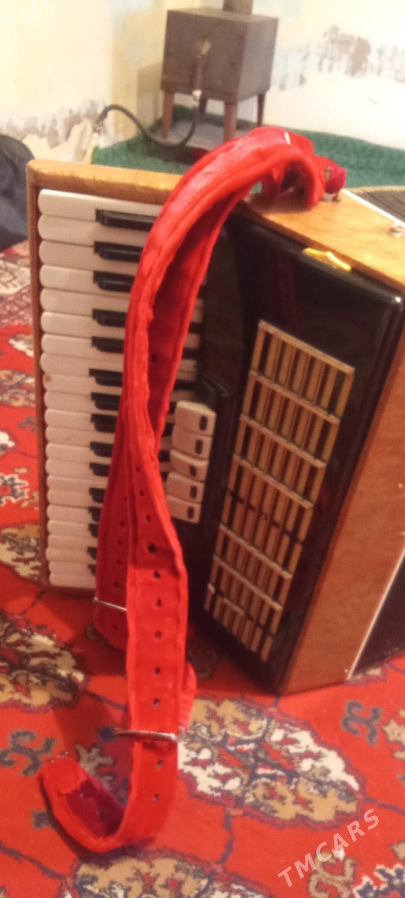 Akardion - Анев - img 1