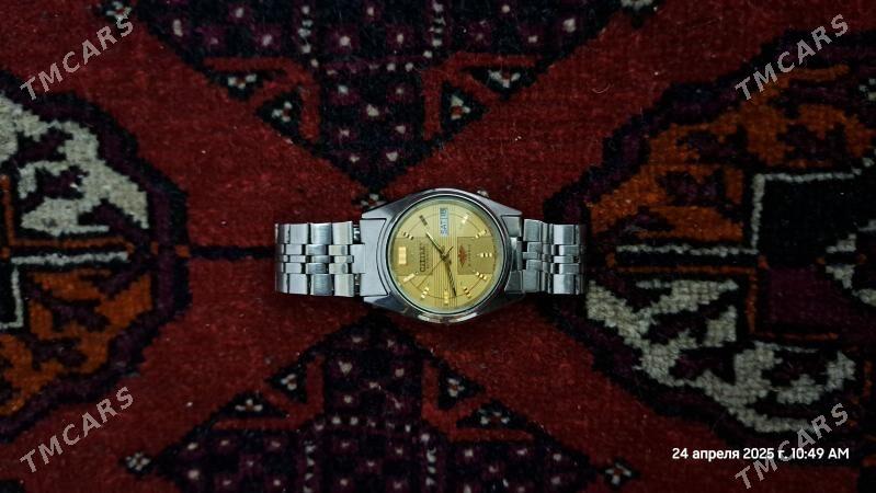 citizen - Daşoguz - img 1