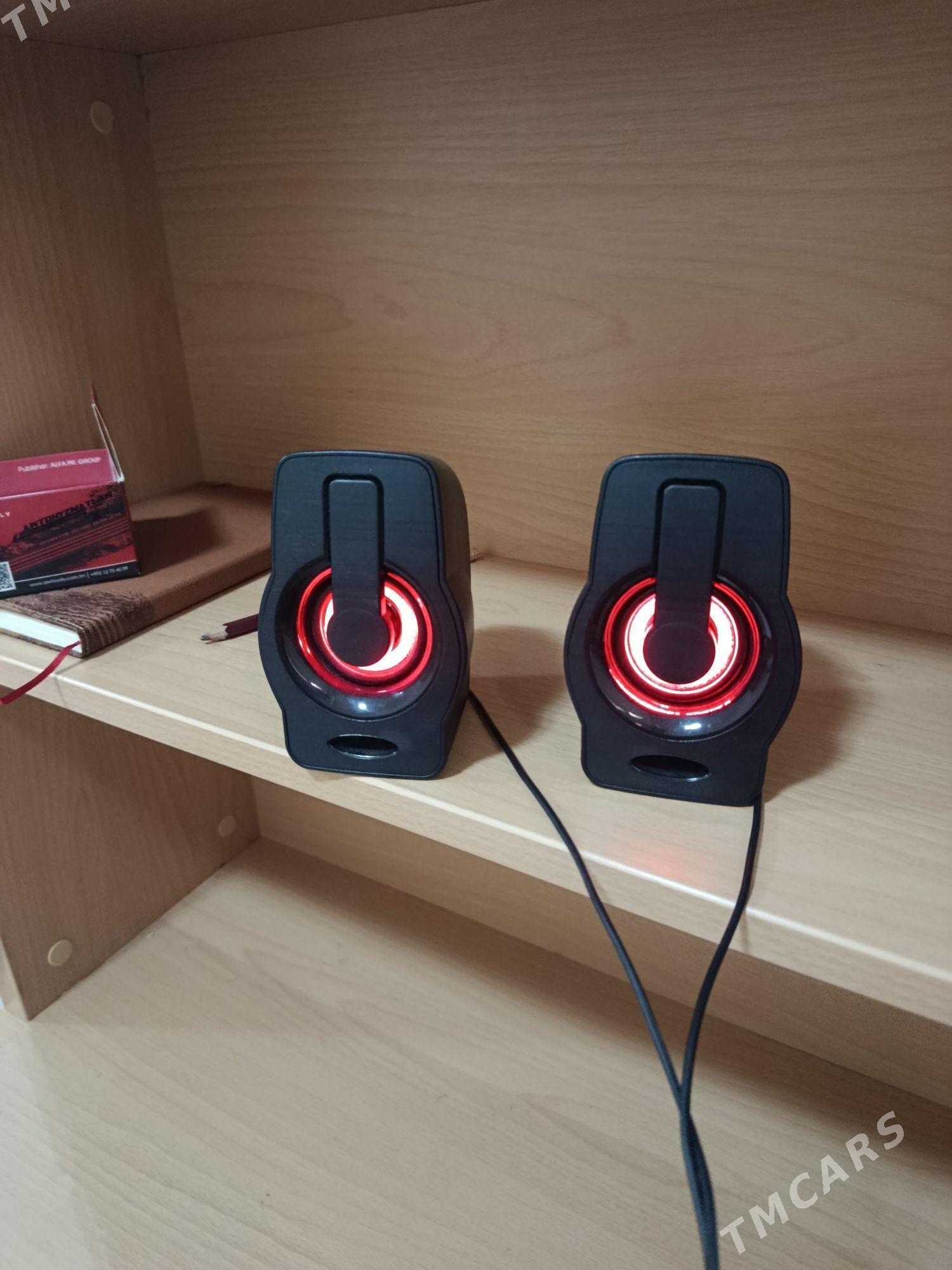 kalonka - Ашхабад - img 1