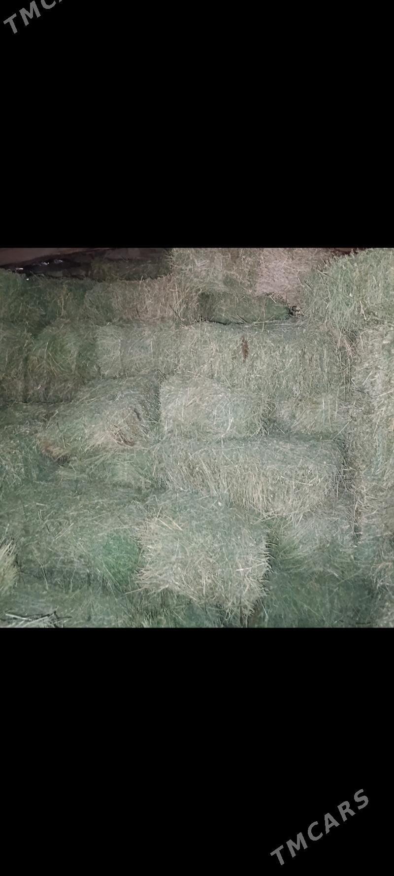 ÝORUNJA KIP - Мары - img 1