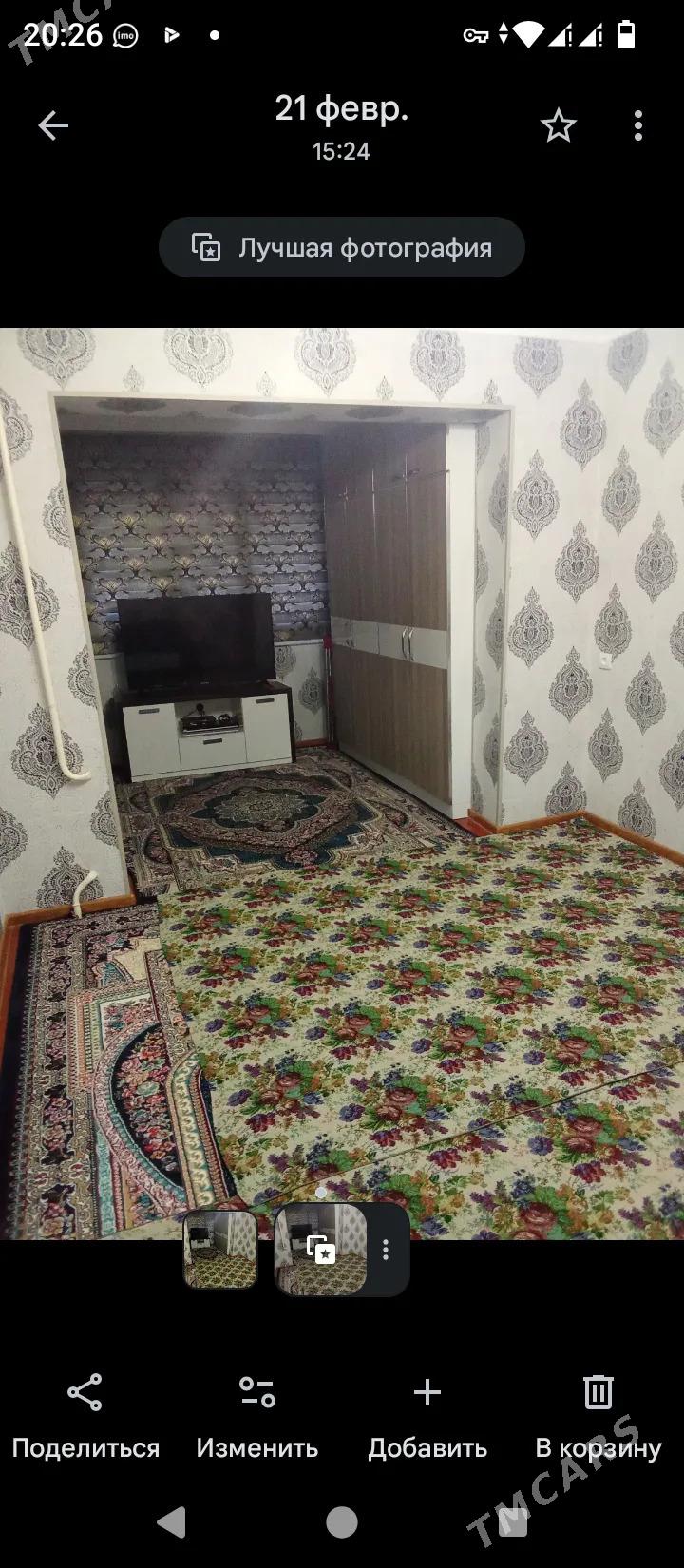 Satlyk jay - Mary - img 1