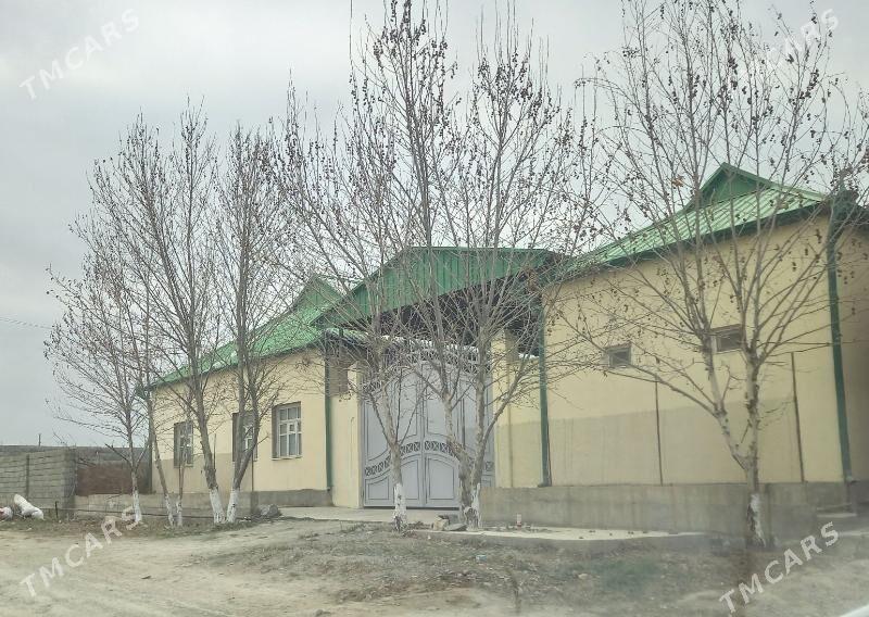 jay howly - Ашхабад - img 1