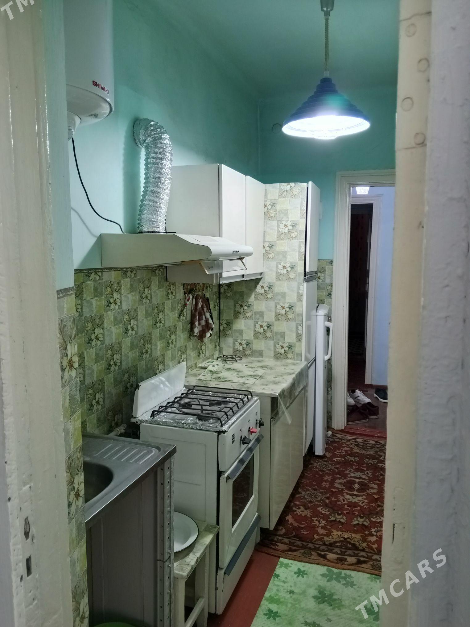 Satlyk jay - Mary - img 1