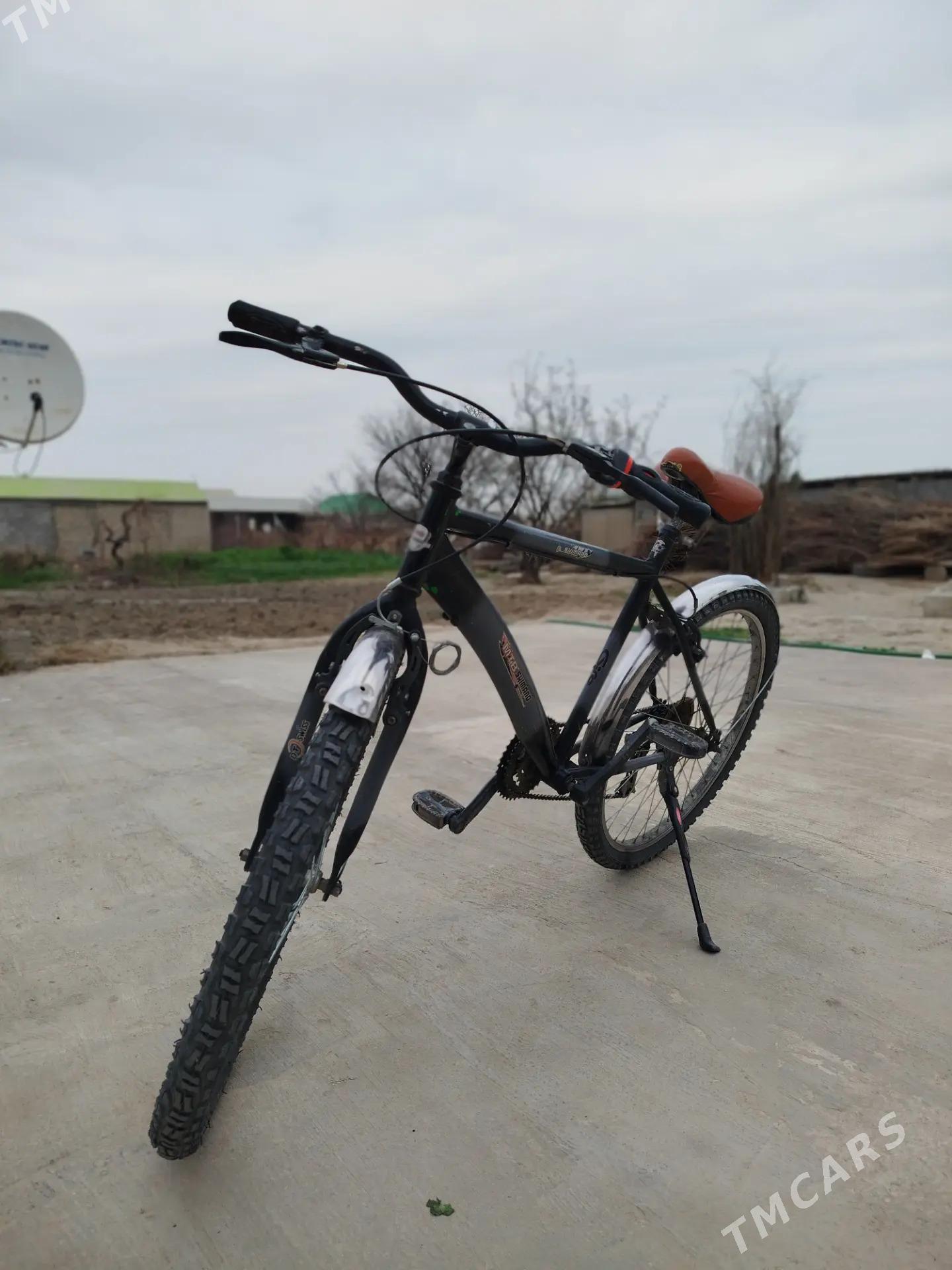 Tigir skoraly - Aşgabat - img 1