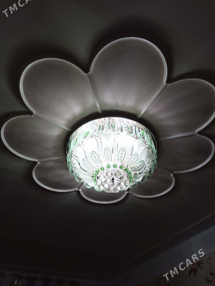 luýustra - Sarahs - img 1