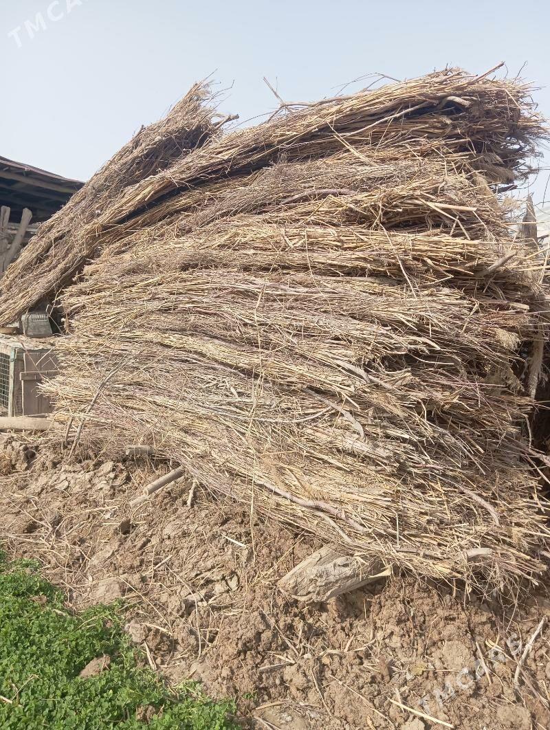 keppe - Чарджоу - img 1