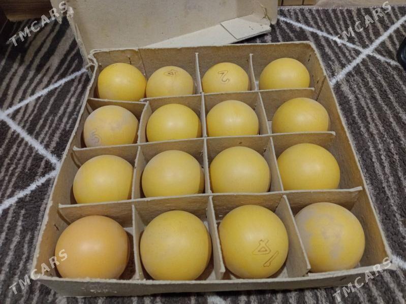 шары - Туркменбаши - img 1