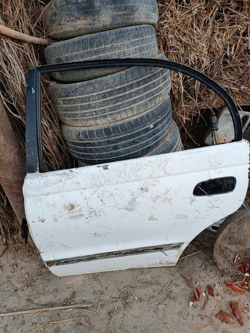 işik 150 TMT - Sakarçäge - img 1