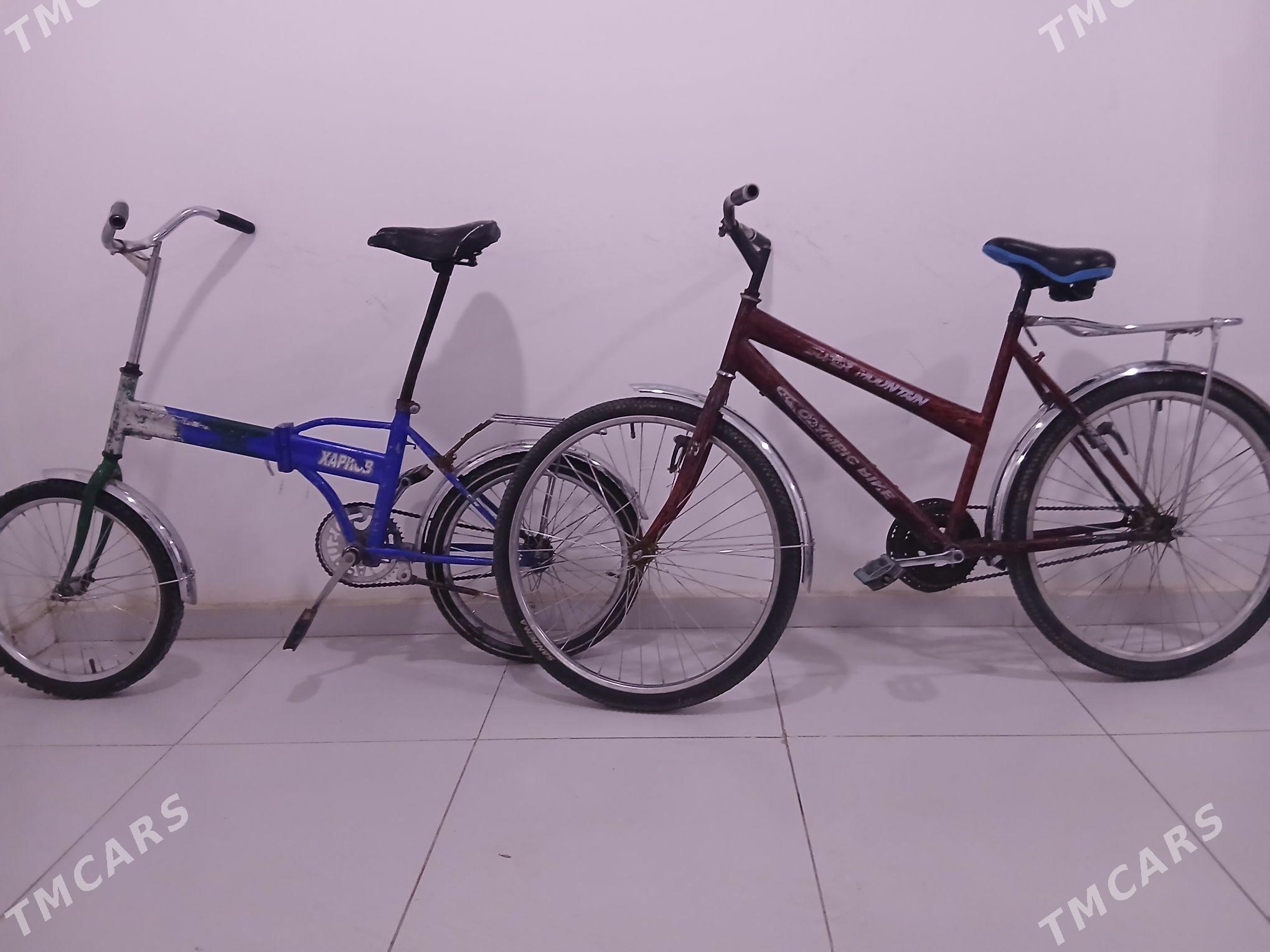 tigir - Аркадаг - img 1