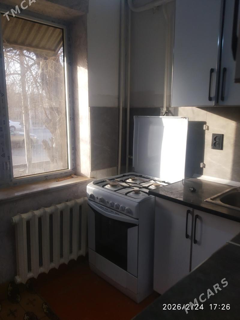 Satlyk jay - Mary - img 1