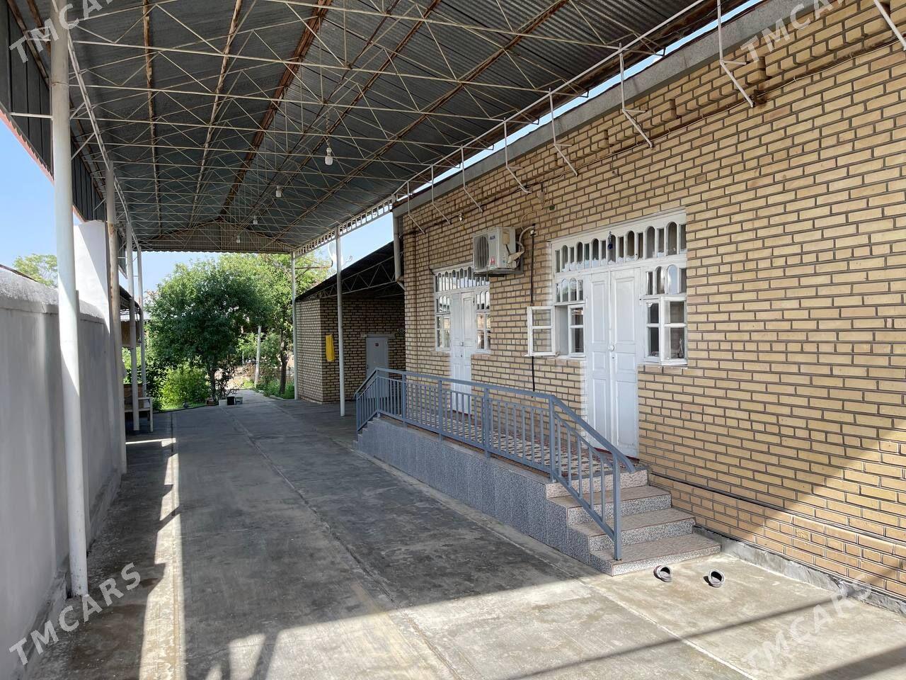 Satlyk Taze plan jay howly - Ёлётен - img 1