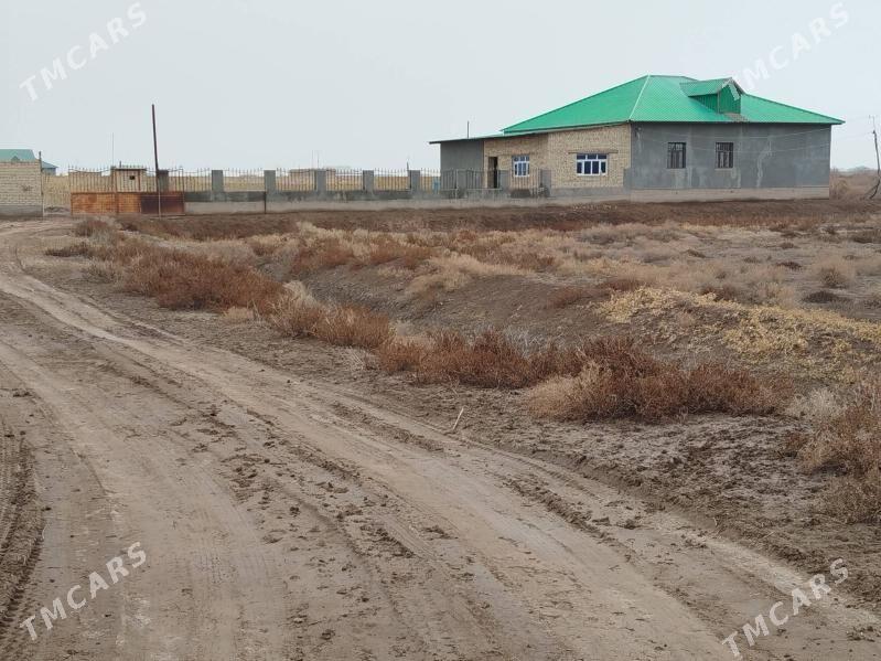 Satlyk jay - Türkmenbaşy etr. - img 1