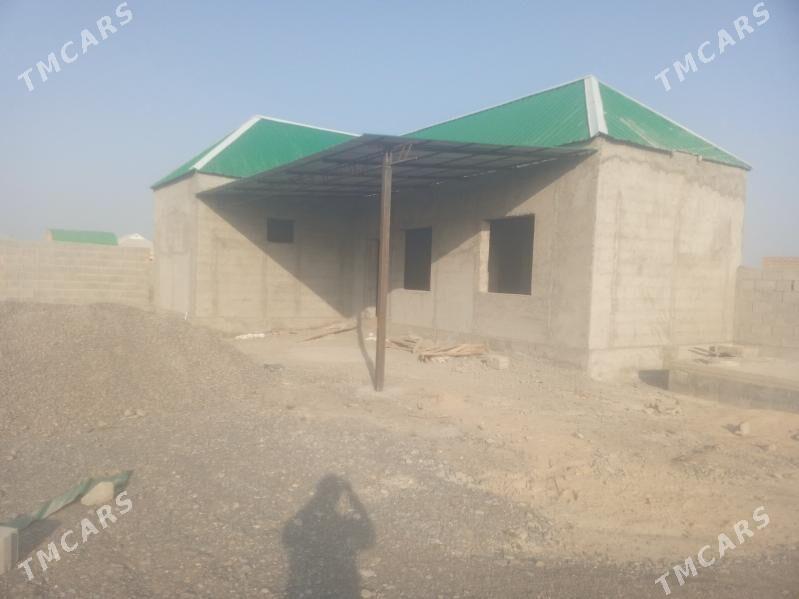 ucaska kakada - Кака - img 1