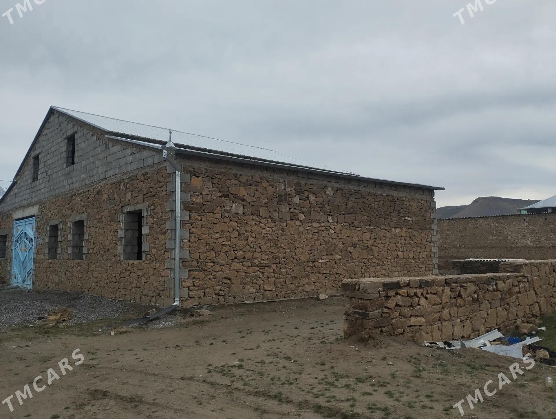 Plan jay - Койтендаг - img 1