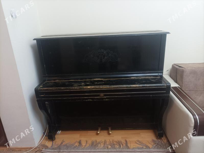 ПИОНИНА БЕЛАРУС - Гаудан "Б" - img 1