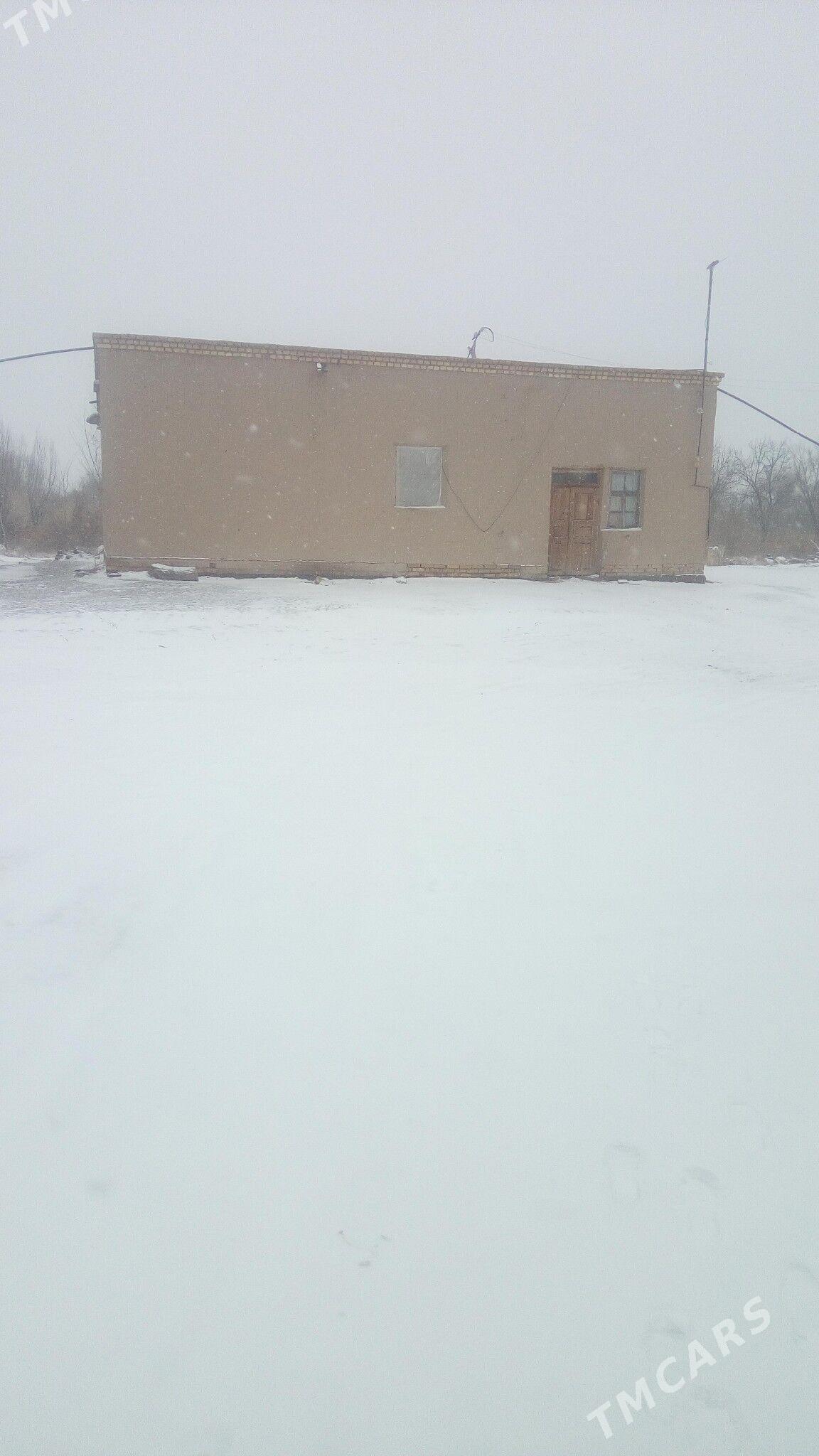 Jaý - Кёнеургенч - img 1