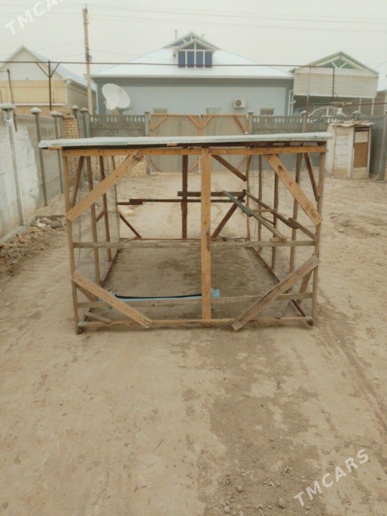 Towyk ketek - Wekilbazar - img 1