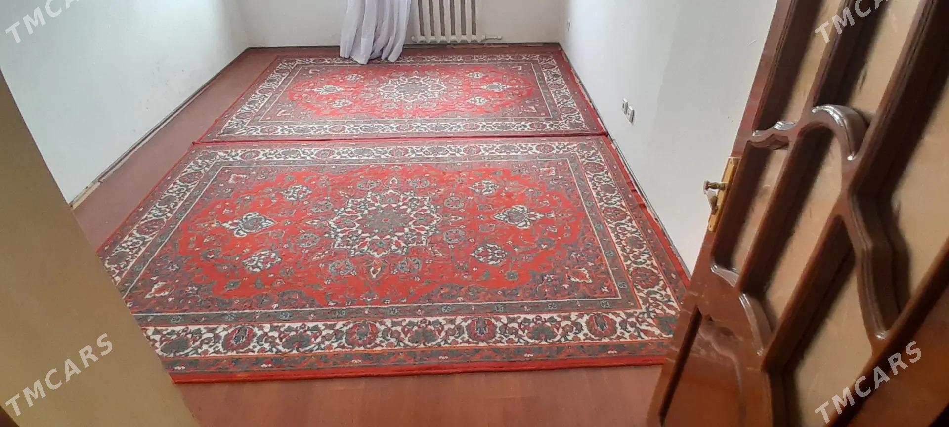 HALY RAZNY - Daşoguz - img 1