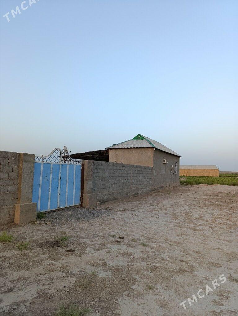 jaý uçastok - Kaka - img 1