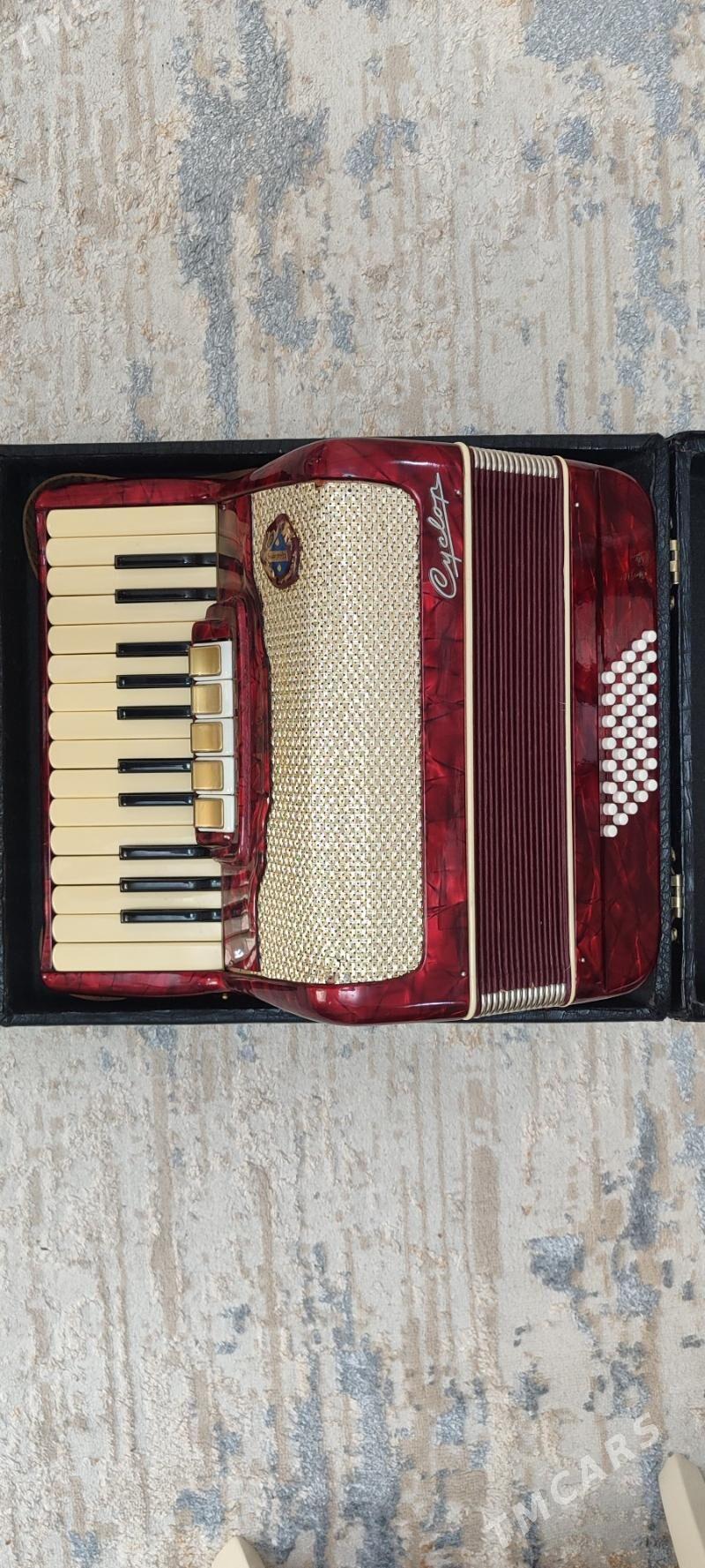 ПРОДАЮ АККОРДЕОН - 10 мкр - img 1