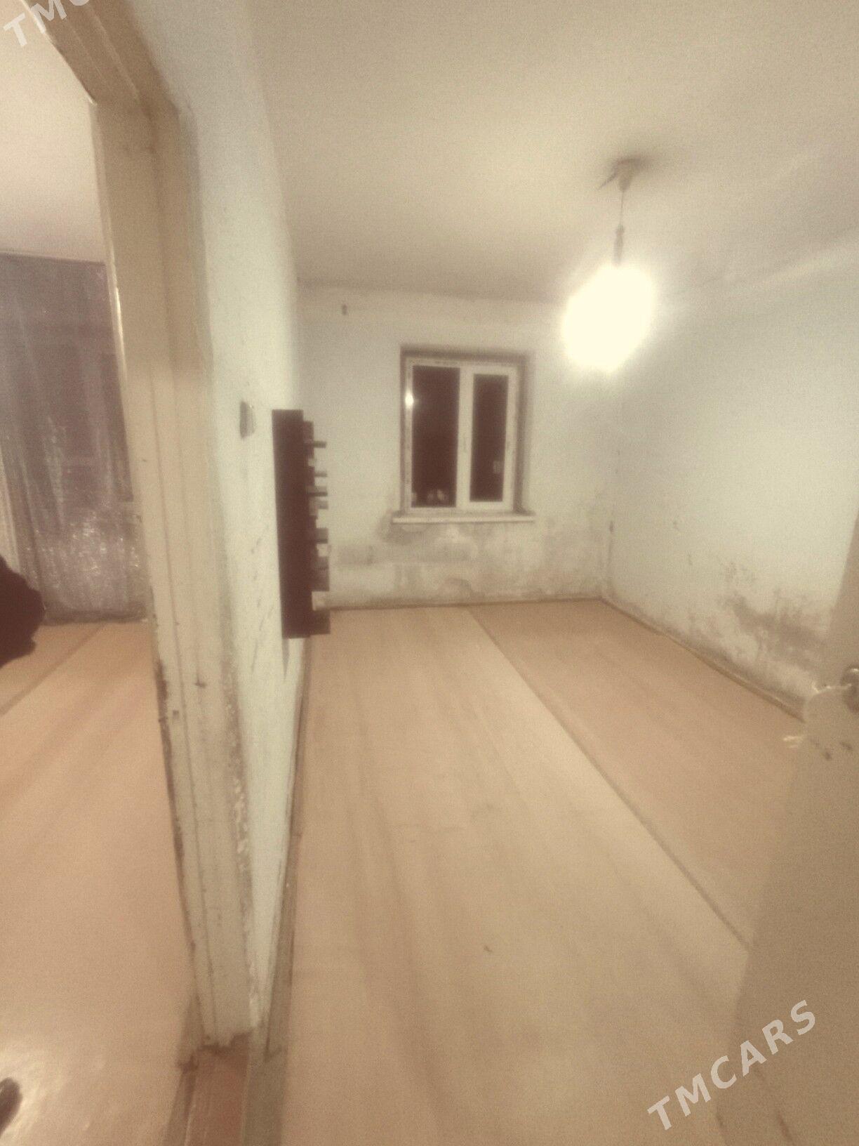 Satlyk jay - Mary - img 1