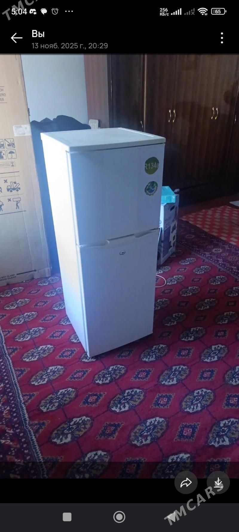 holodilnik - Mary - img 1