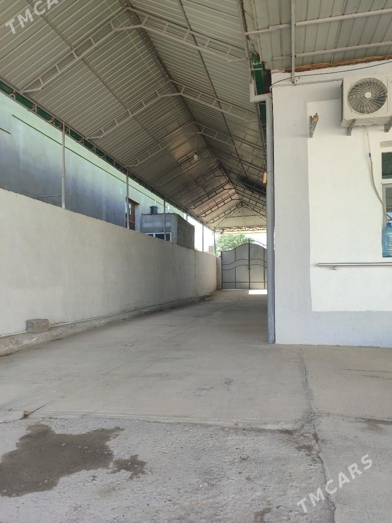 Änew magtymguly plan jay - Анев - img 1