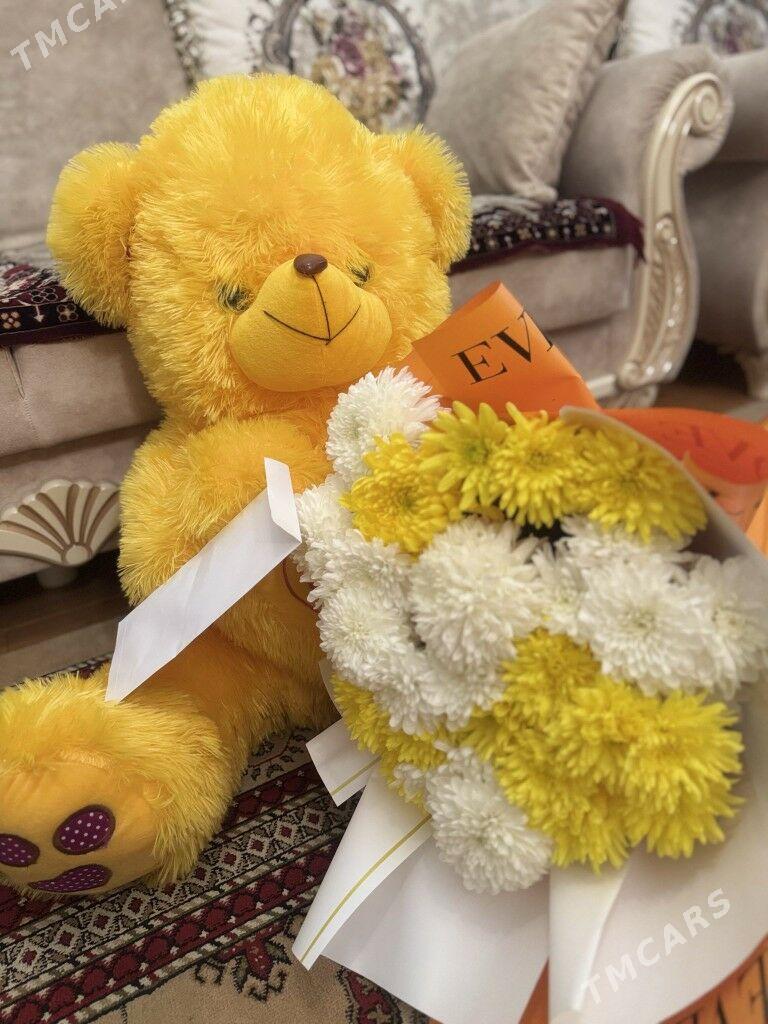 misga - Ашхабад - img 1