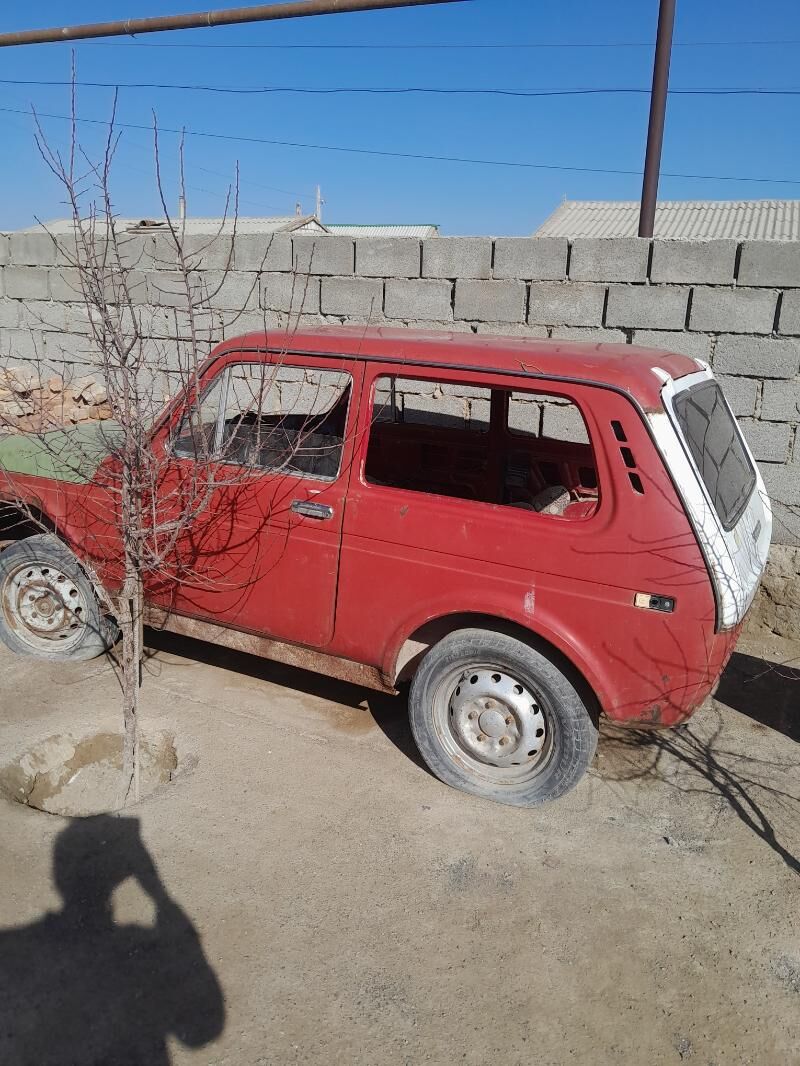 niva 12 000 TMT - Bereket - img 1