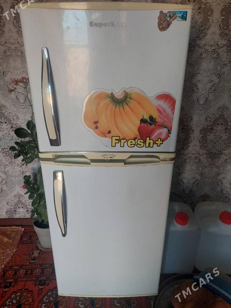 holadilnik - Sakarçäge - img 1