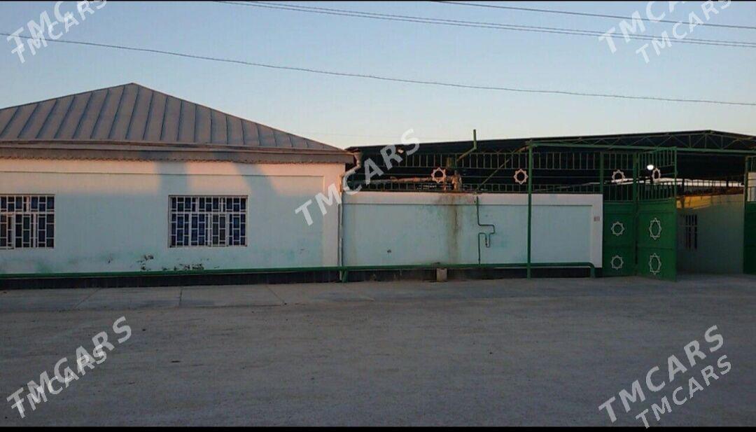 gyzylarbat jay - Ашхабад - img 1