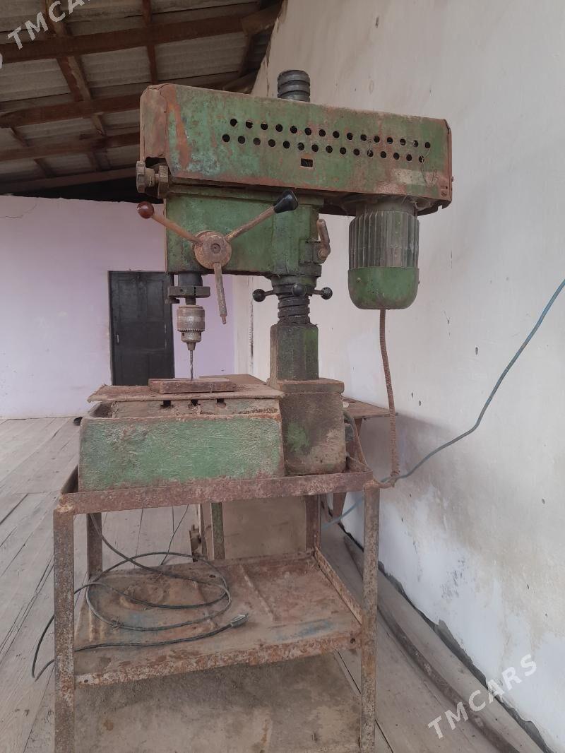 Stanok agaç - Boldumsaz - img 1