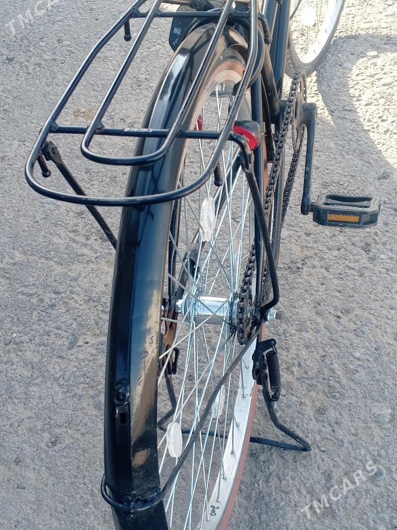 WELSEPED - Mary - img 1