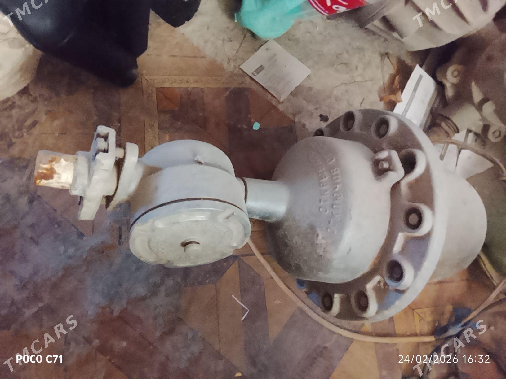 taze gül - Чарджоу - img 1