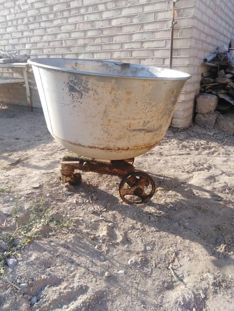 Misalka gazany - Mary - img 1