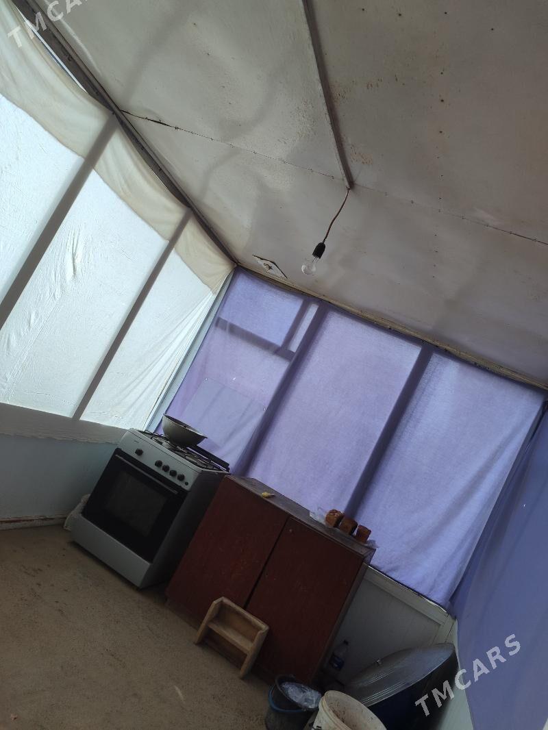 plastika jay - Mary - img 1