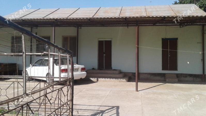 satlyk jay - Tejen - img 1