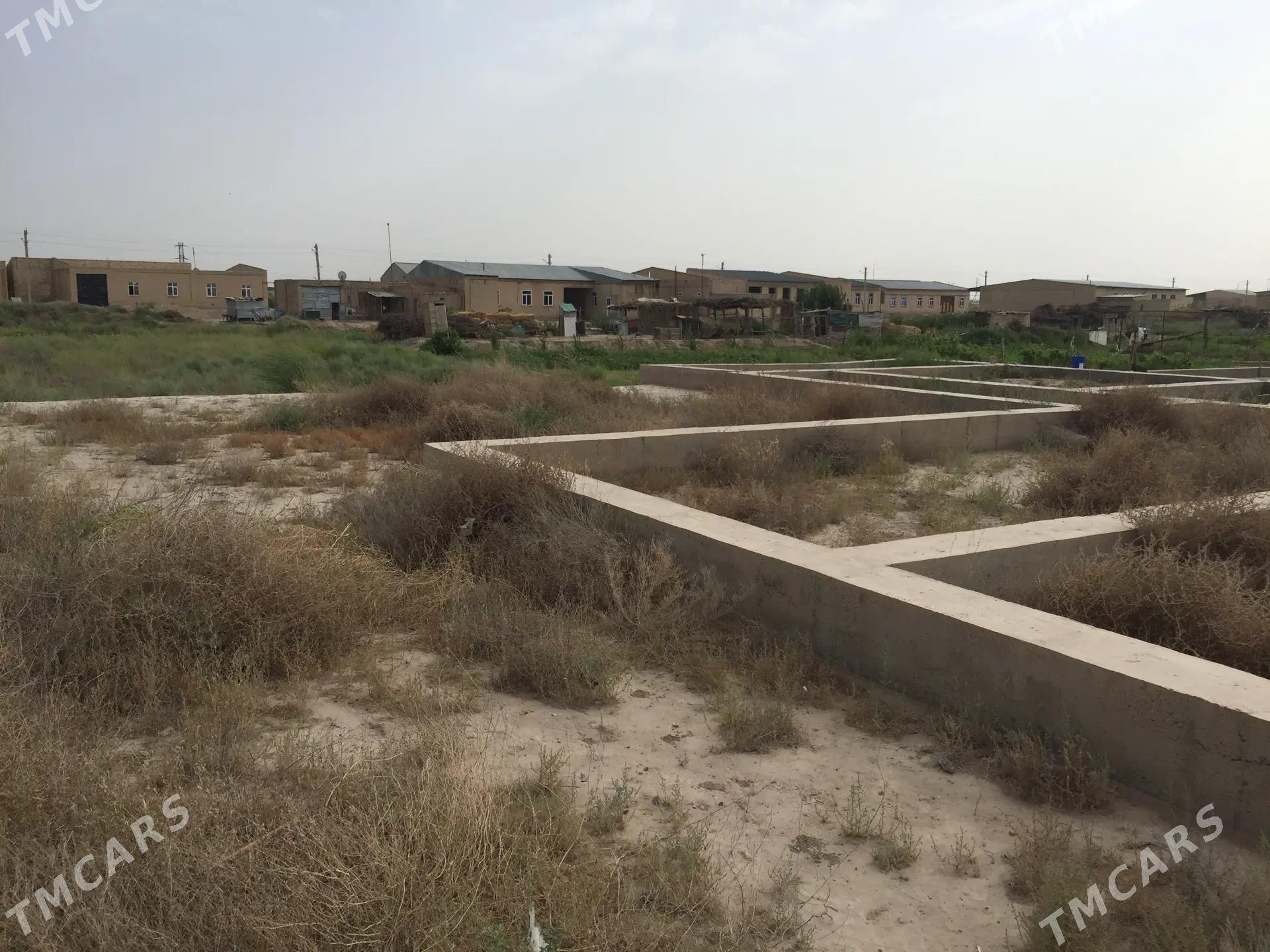 satlyk mellek - Türkmenabat - img 1