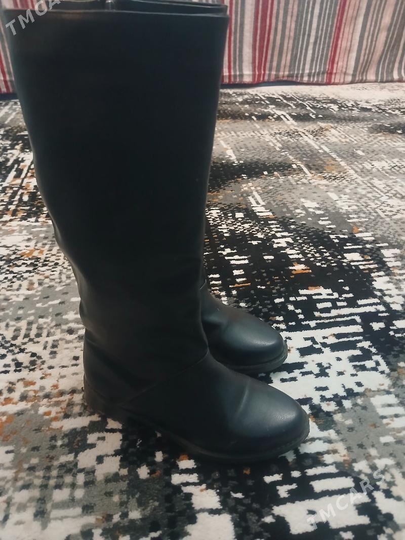 adik - Daşoguz - img 1