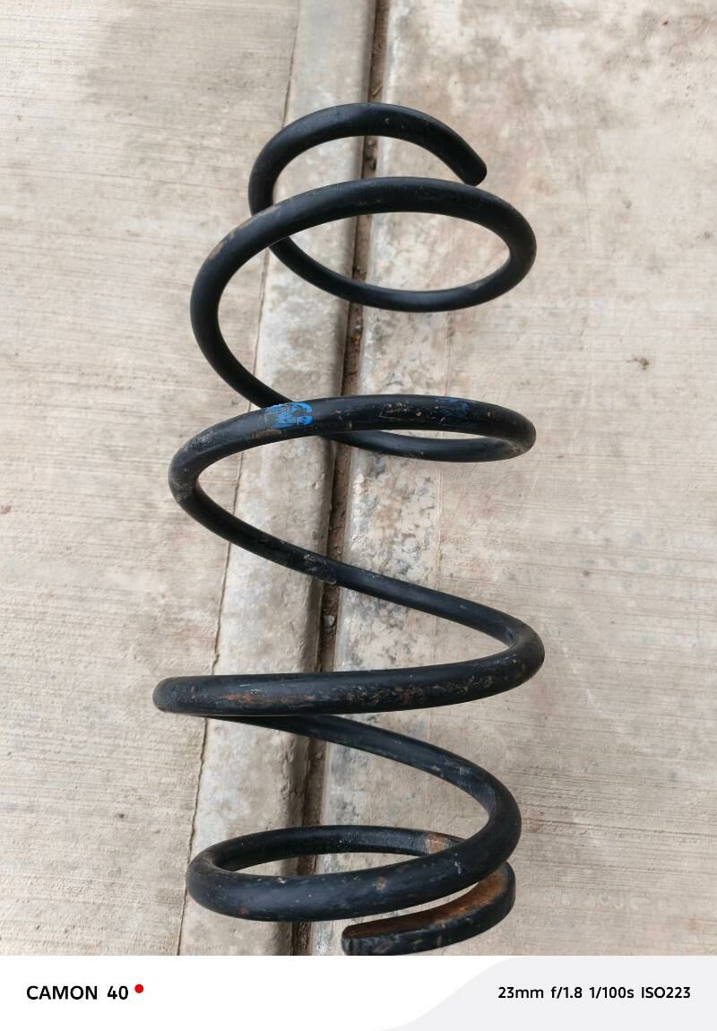 Speral purjin 1 ştuk 100 TMT - Губадаг - img 1