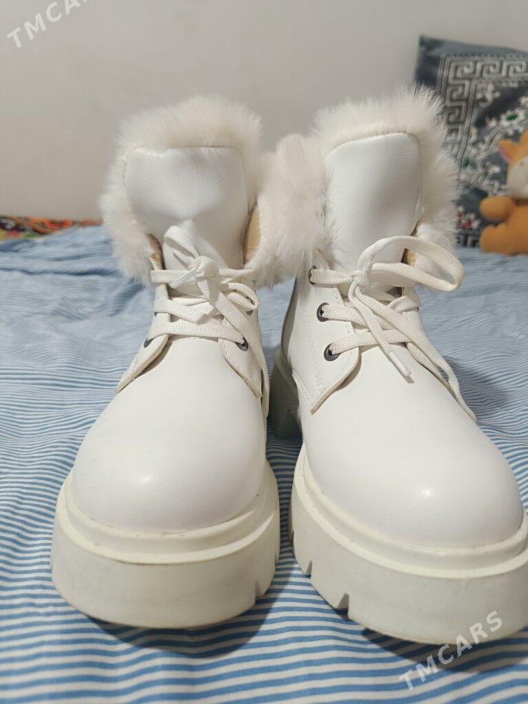 ak adik - Daşoguz - img 1