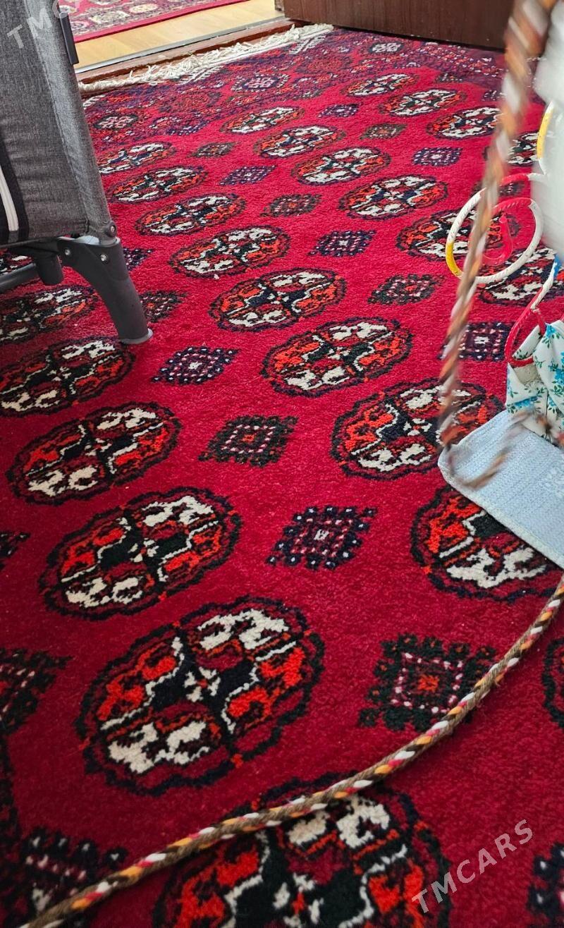 El haly gyssagly - Aşgabat - img 1