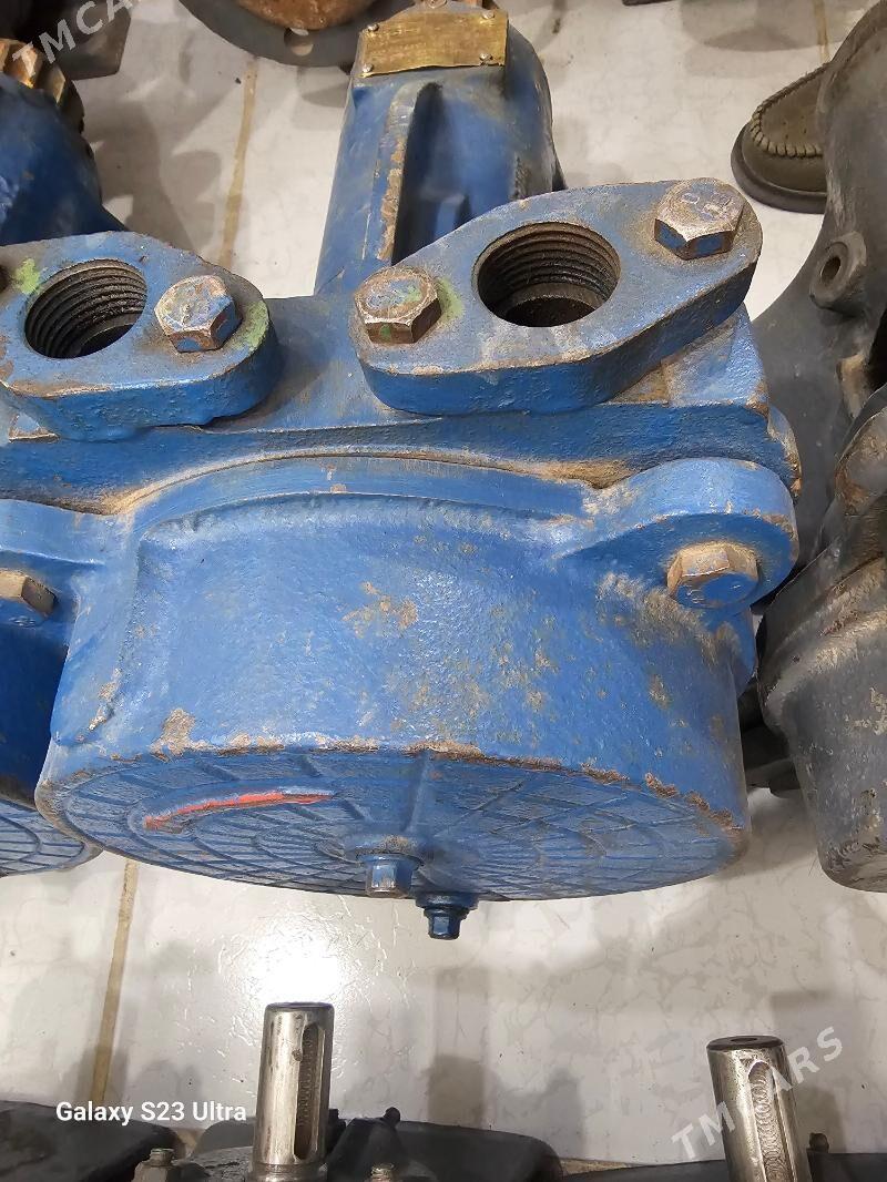 nasos wakum - Ak bugdaý etraby - img 1