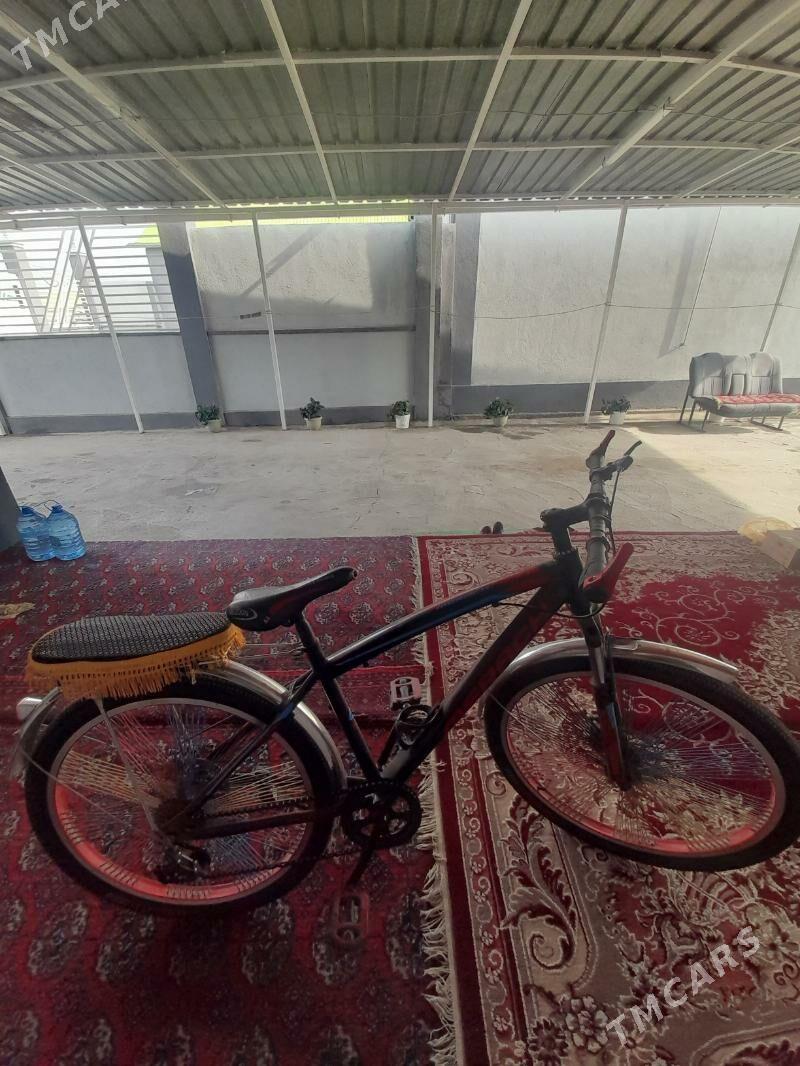 tigir - Herrikgala - img 1