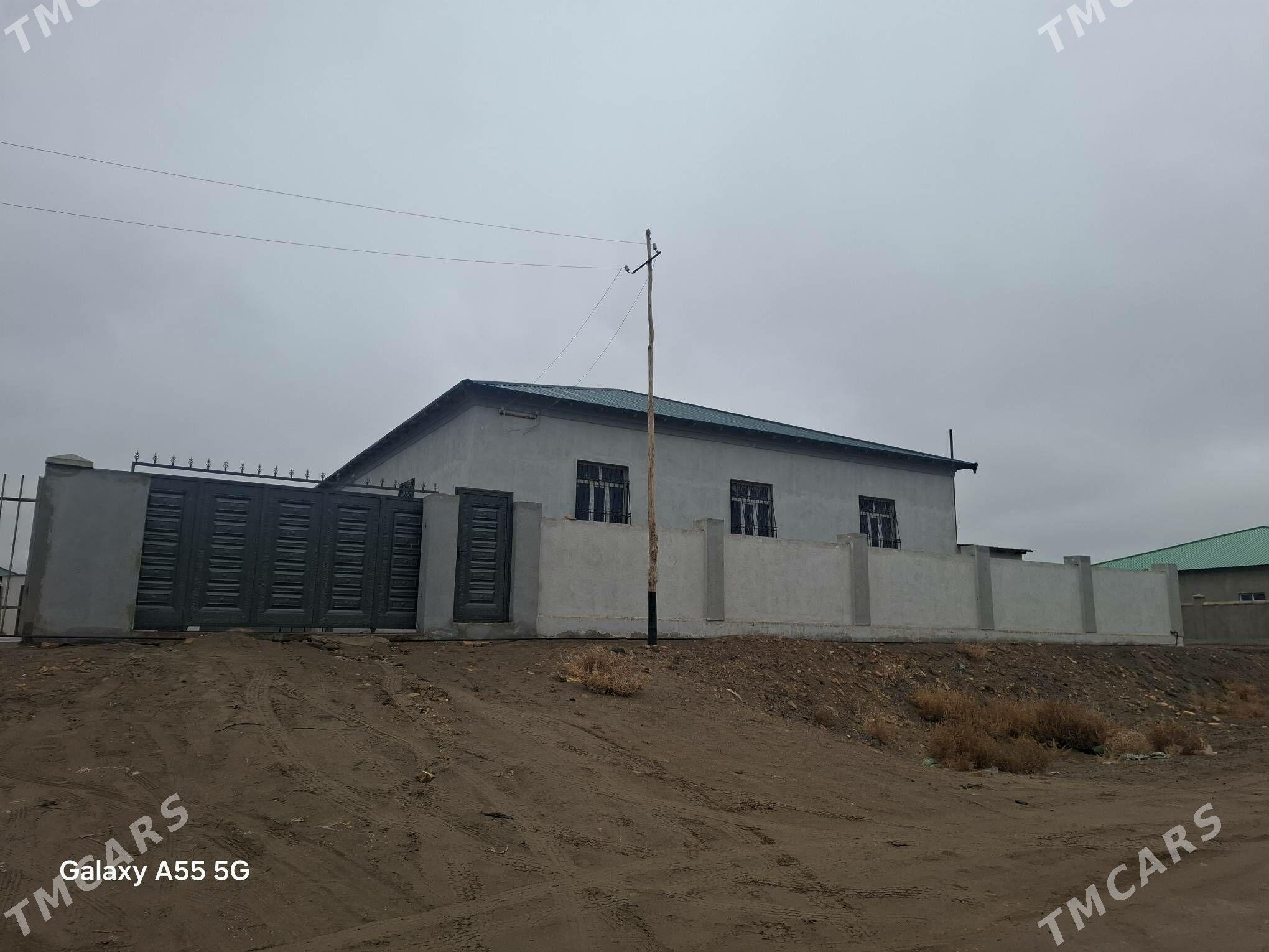 Gulustan taze domlar arasynda - Daşoguz - img 1