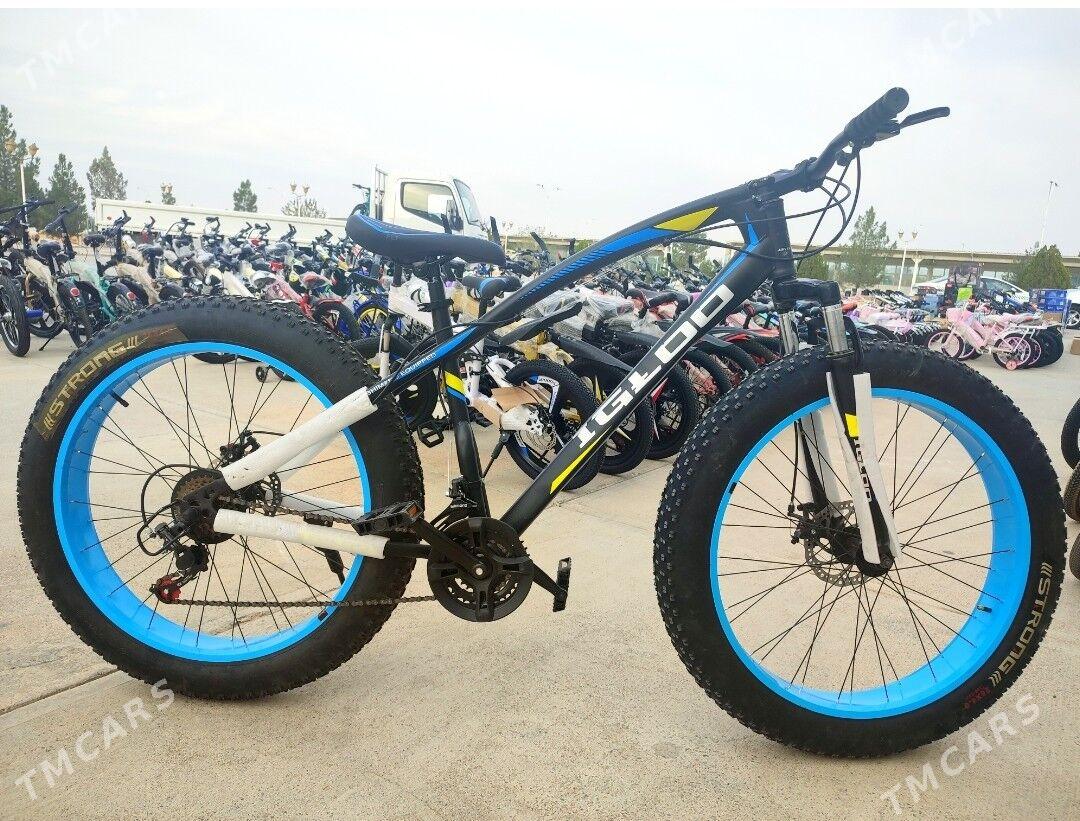 IGLOO SPORT ÝOGYN TEKERLI TIGI - Мир 7 - img 1