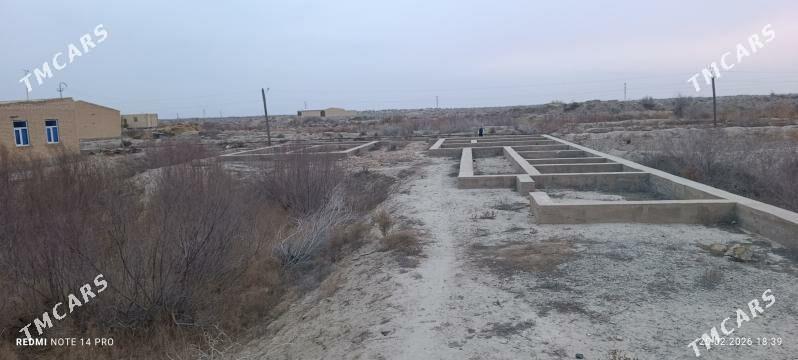 Mellek - Туркменабат - img 1