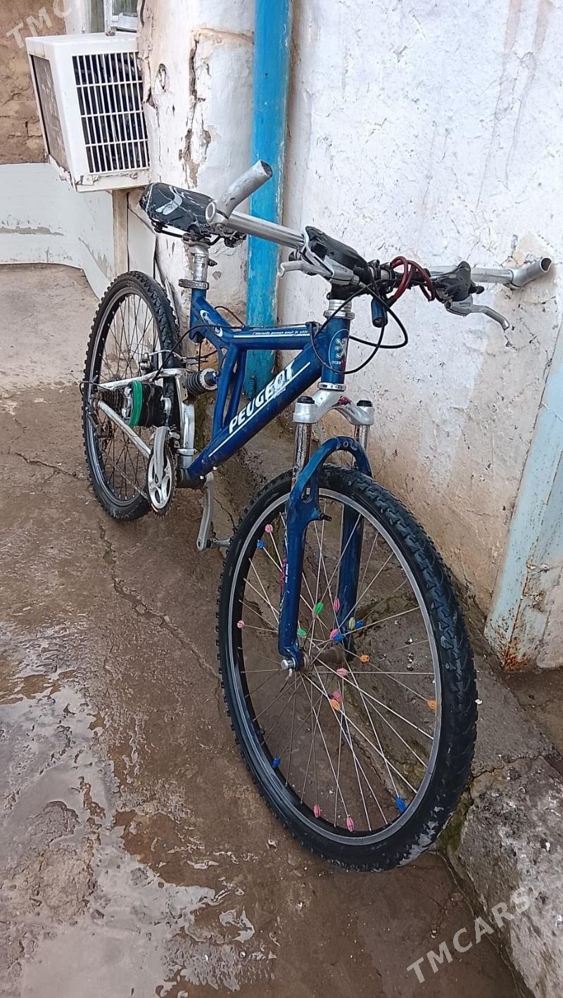 Peguat - Ýaşlyk - img 1