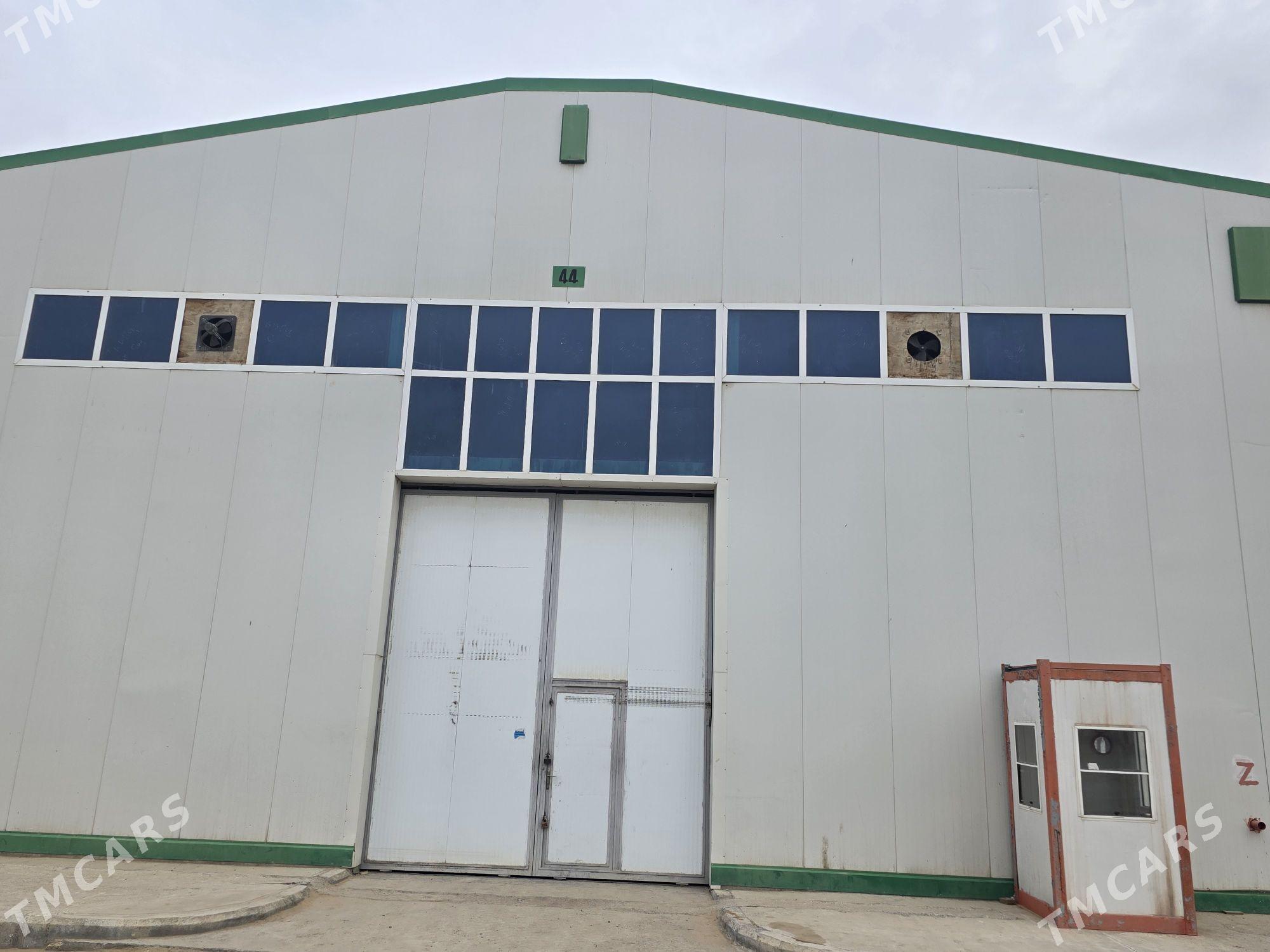 Satlyk ammar - Ak bugdaý etraby - img 1