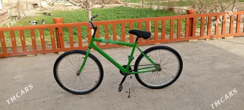 Велик туркменистан ягдайы говы - Mary - img 1